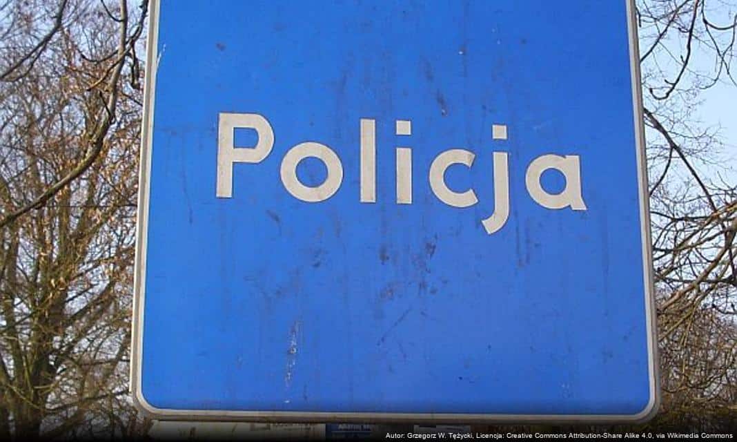 Listopadowe spotkania policji z dziećmi w Bełchatowie